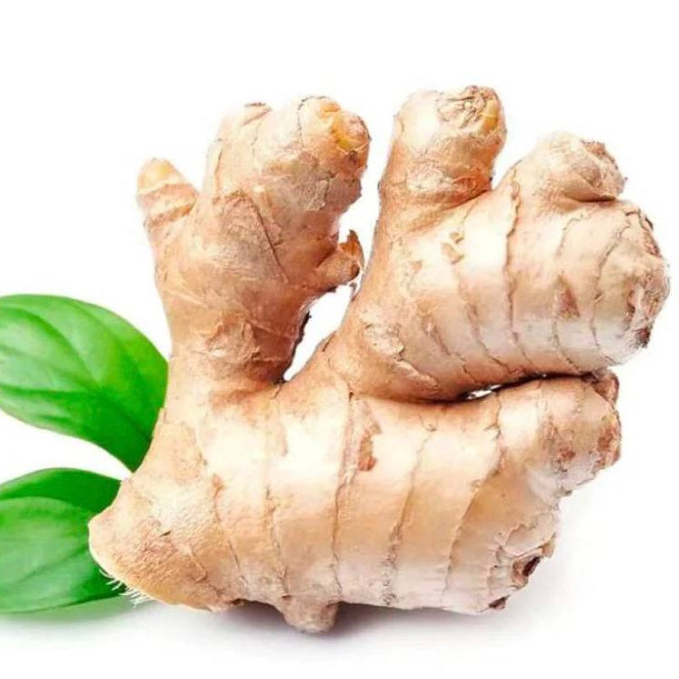 Ginger China