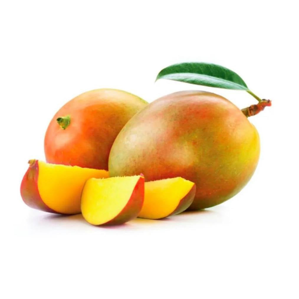 Mango Kalb Al Tour-Yeman