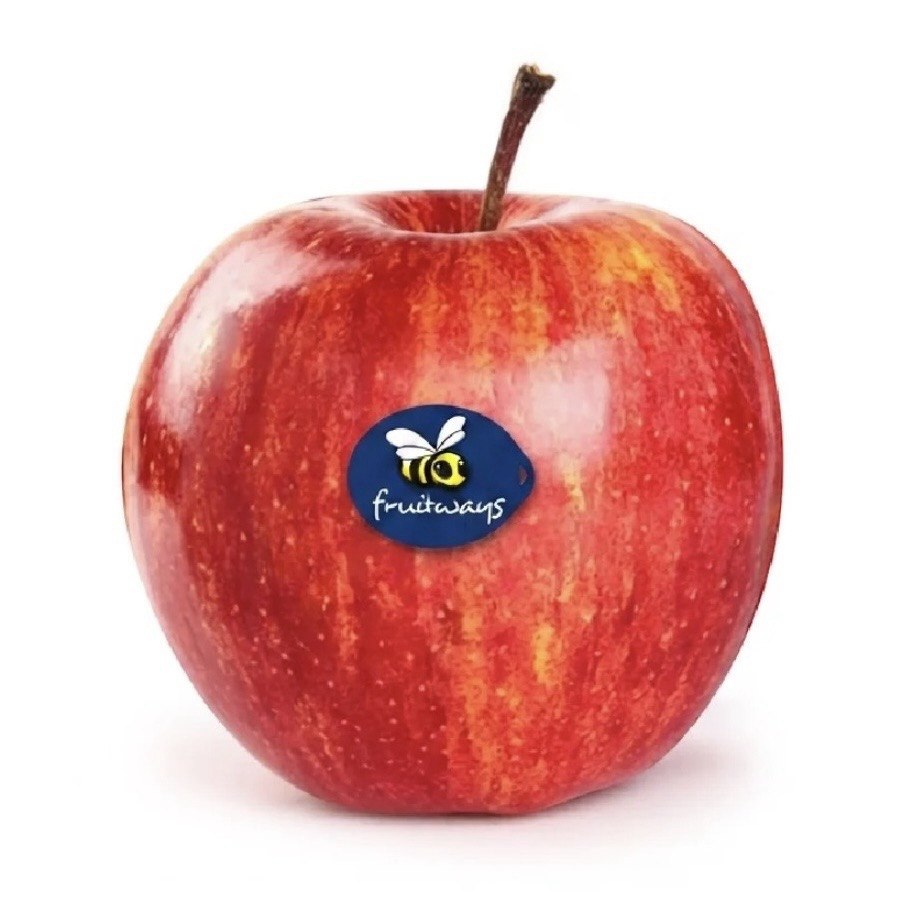 Premium Royal Gala Apple from South Africa | Fresh Fruit Delivery Dubai | MJ Foodstuff