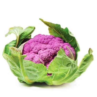 Cauliflower Purple- Netherlands
