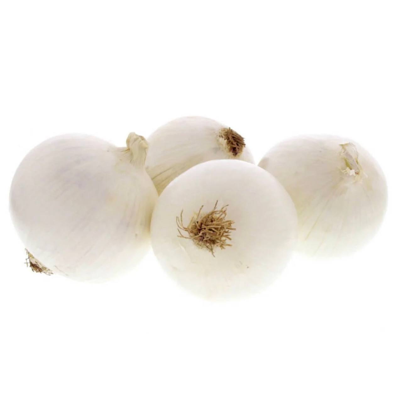 Premium White Onion from Australia | Fresh Vegetable Delivery Dubai | MJ Foodstuff