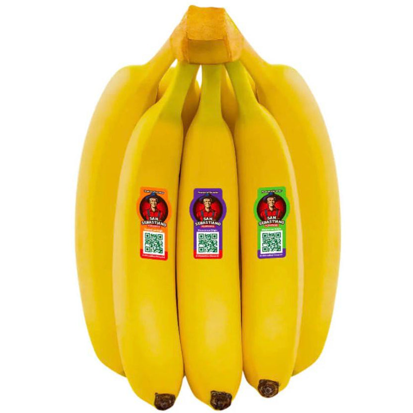 Sebastiano Banana-Ecuador