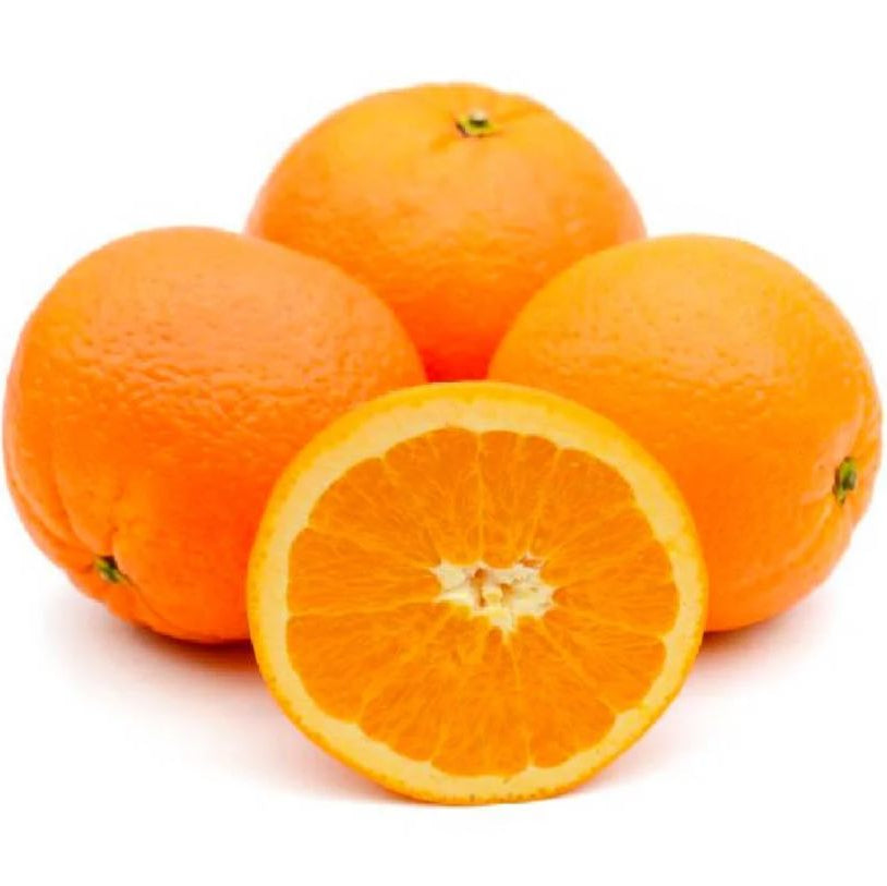Orange Navel-Morocco