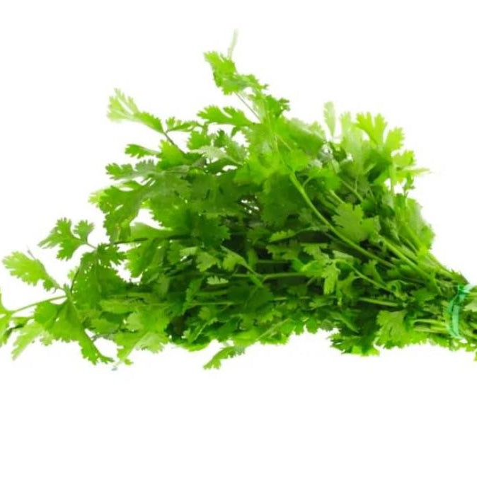 Coriander Uae