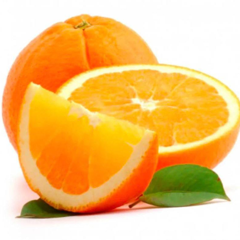 Orange Valencia-Egypt