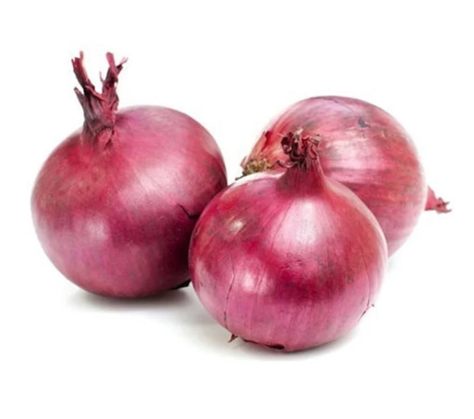 Premium Onion from Egypt | Fresh Vegetable Delivery Dubai | MJ Foodstuff
