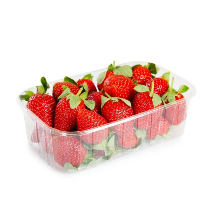 Premium Strawberries from South Africa 250 g Pack | Fresh Fruit Delivery Dubai | MJ Foodstuff