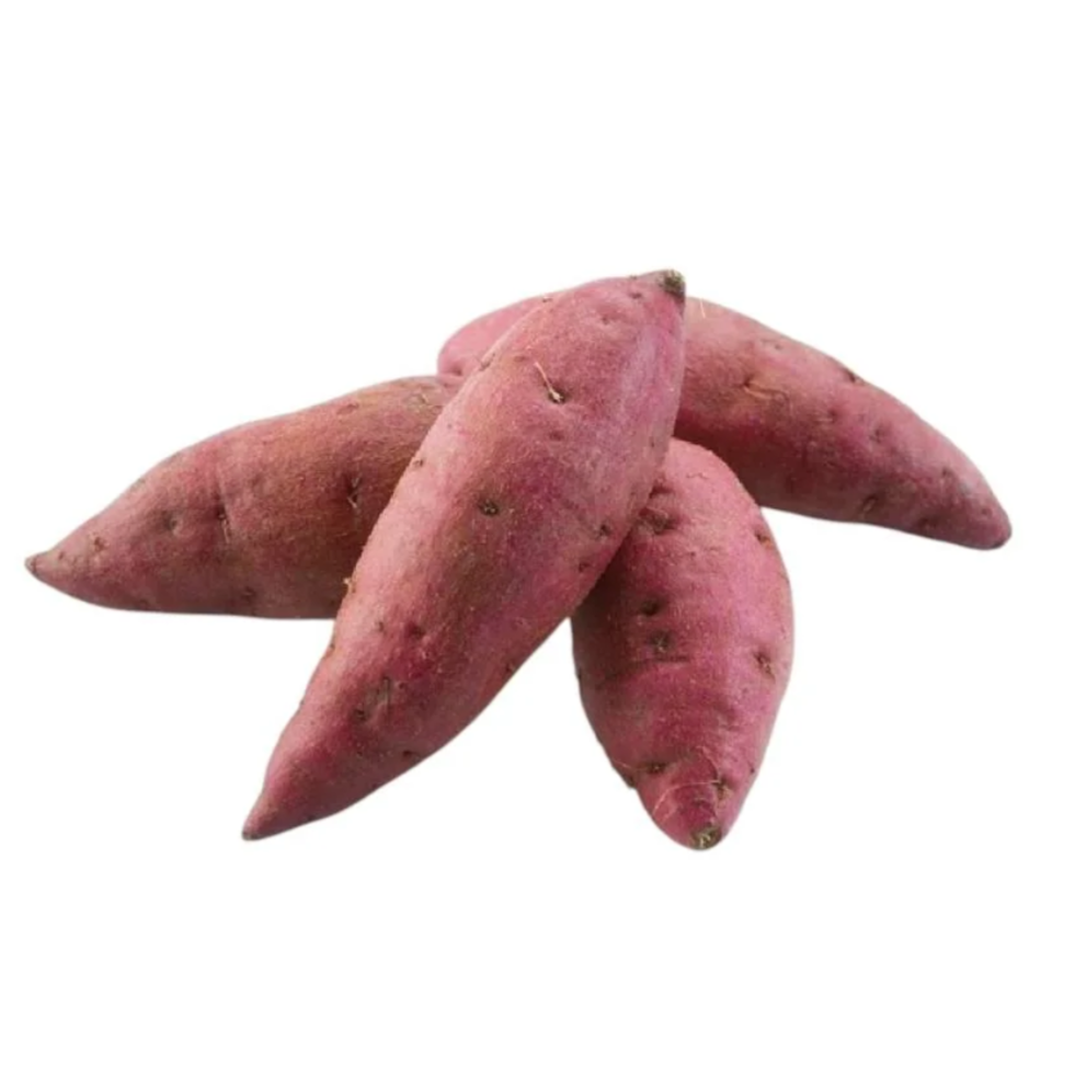 Premium Sweet Potato from Egypt | Fresh Vegetable Delivery Dubai | MJ Foodstuff