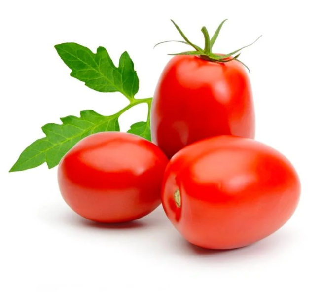 Premium Roma Tomato from Netherlands | Fresh Vegetable Delivery Dubai | MJ Foodstuff