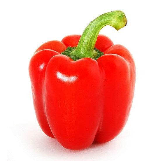 Capsicum Red