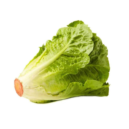 Lettuce