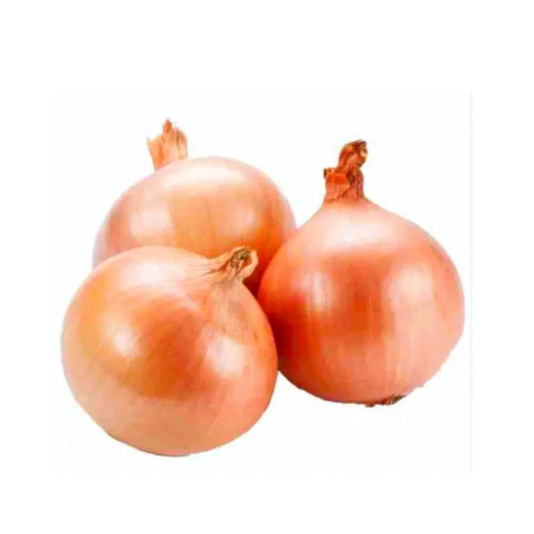Onion Brown Uae