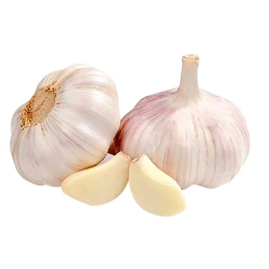 Garlic China