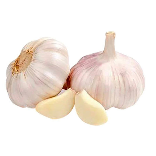 Garlic China