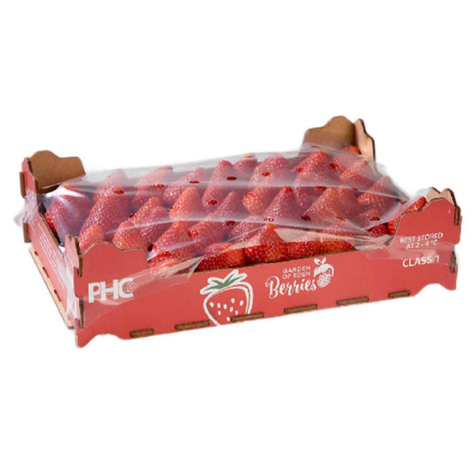 Strawberry Spain _ 1 kg