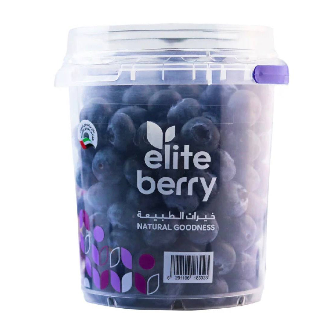 Blueberry UAE _ 500g