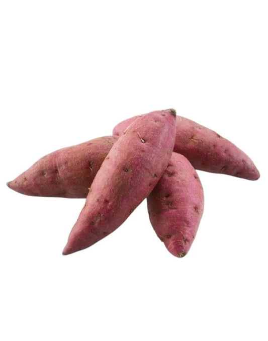Sweet Potato- Egypt