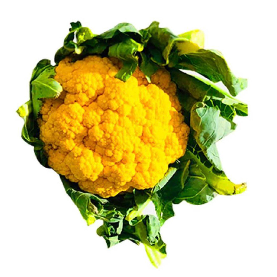 Cauliflower Orange- Netherland