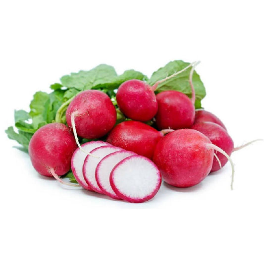 Red Radish- Lebanon