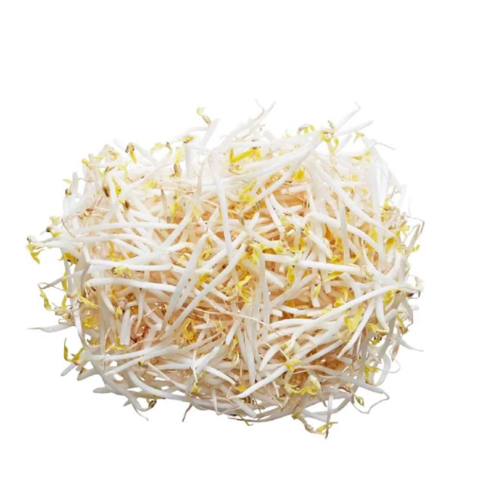 Beans Sprout- Uae