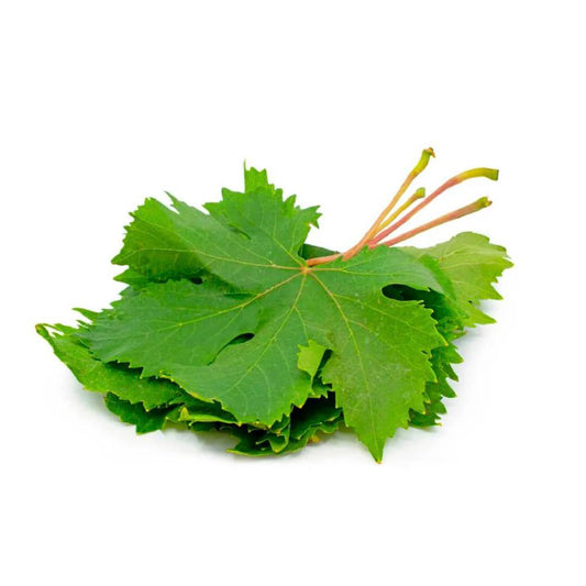 Grapes Leaves- Lebanon