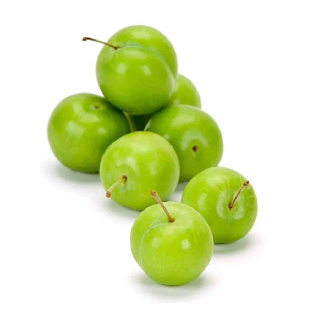 Janerik Turkey