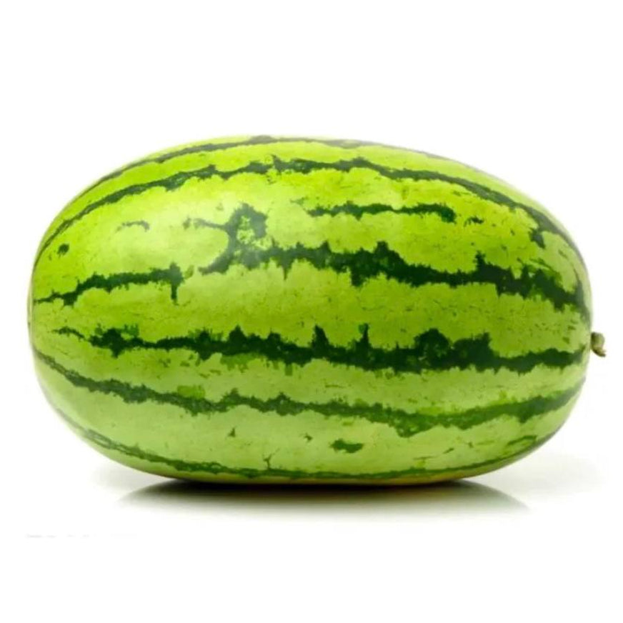 Premium Watermelon from Oman | Fresh Fruit Delivery Dubai | MJ Foodstuff