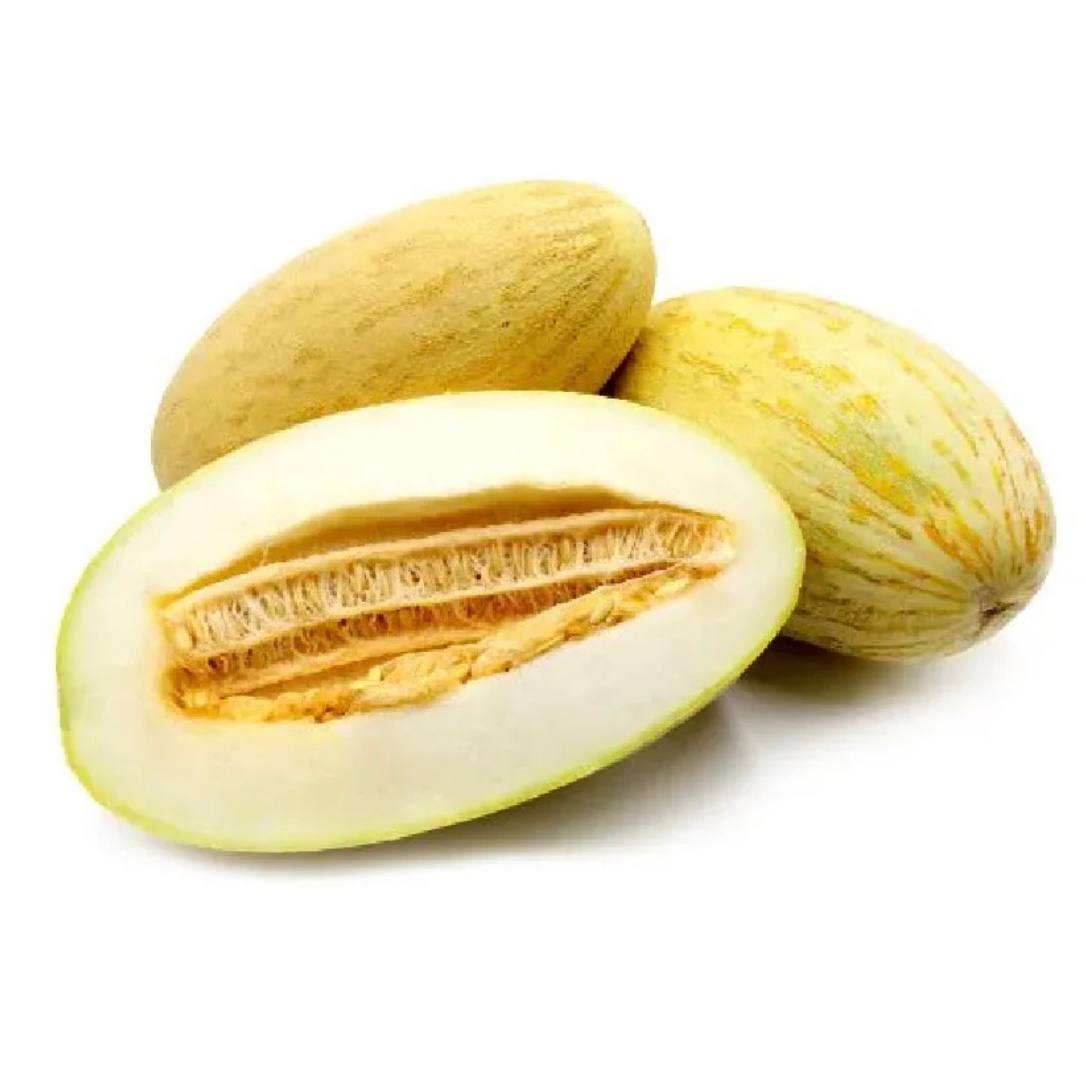 Premium Sweet Melon Mashadi from GCC | Fresh Fruit Delivery Dubai | MJ Foodstuff