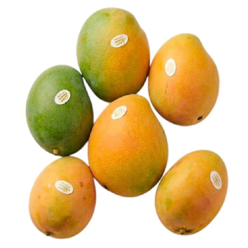 Premium Yasmina Mango from Egypt | Fresh Fruit Delivery Dubai | MJ Foodstuff