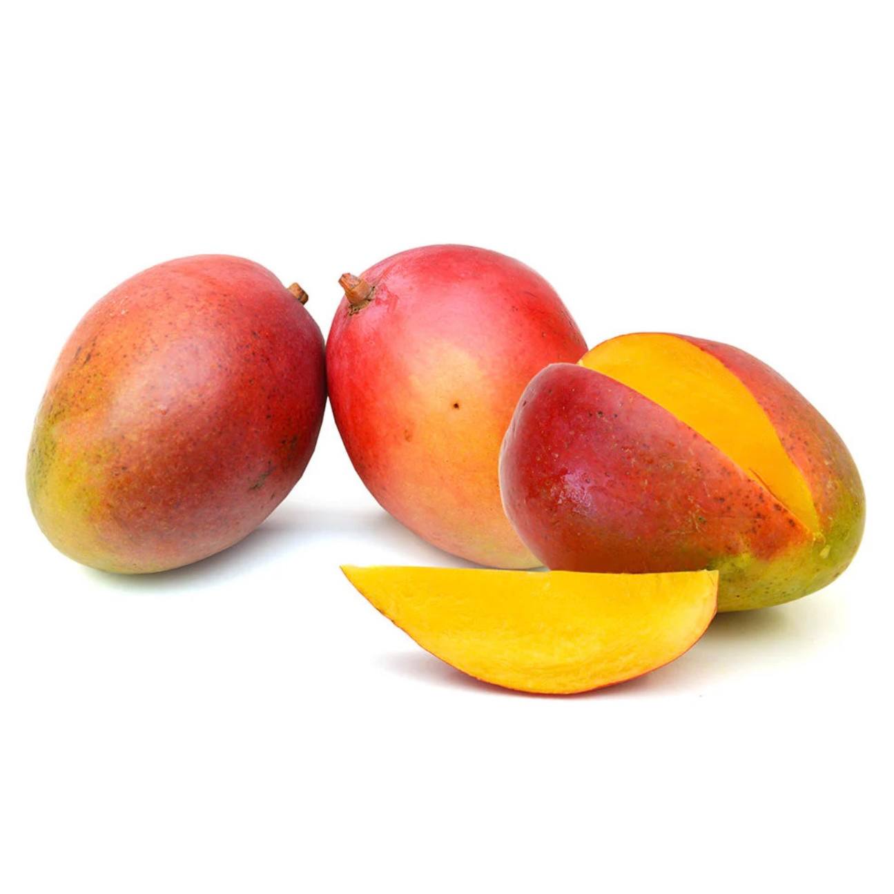Premium Tommy Atkins Mango from Egypt | Fresh Fruit Delivery Dubai | MJ Foodstuff