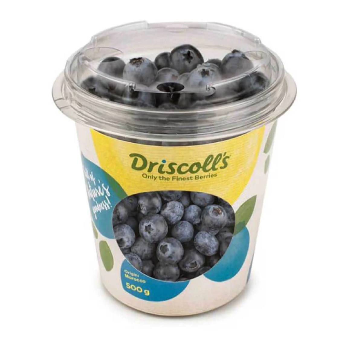 Premium Blueberries from South Africa 500 g | Fresh Berry Delivery Dubai | MJ Foodstuff
