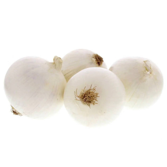 Premium White Onion from Australia | Fresh Vegetable Delivery Dubai | MJ Foodstuff