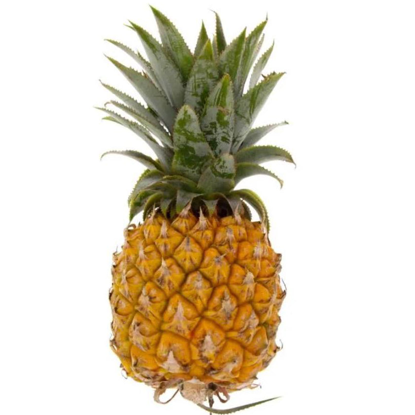Baby Pineapple South-Africa