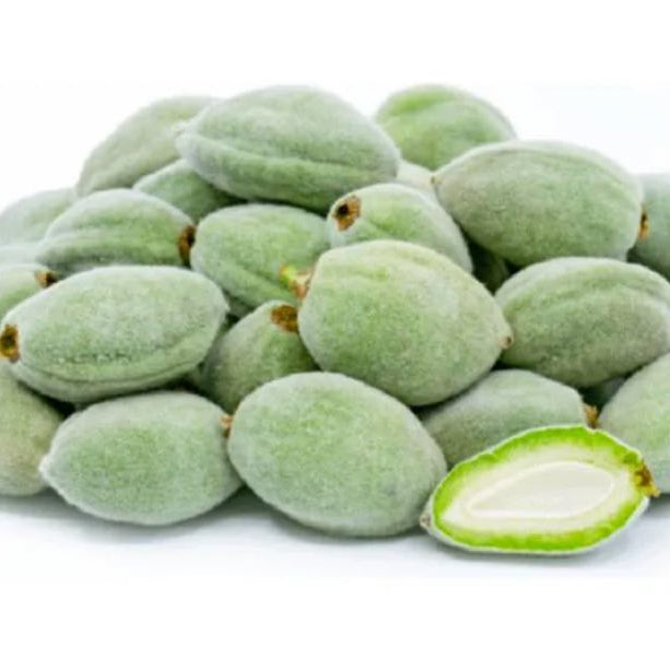 Almond Green-Lebanon