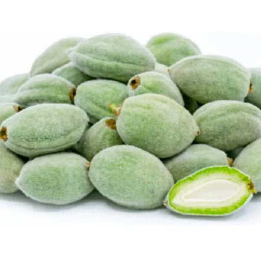 Almond Green-Lebanon