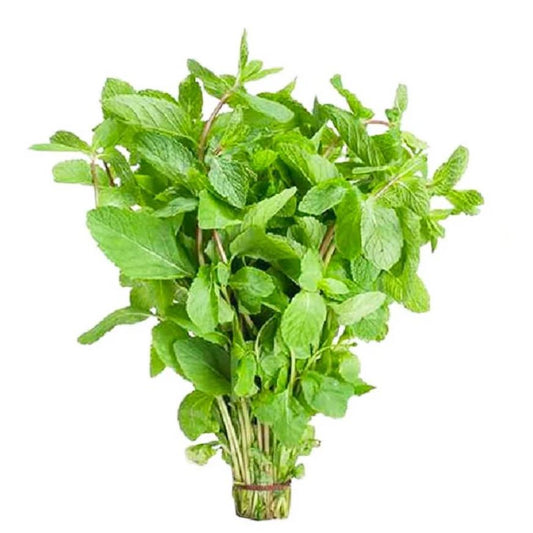 Mint Leaves Uae