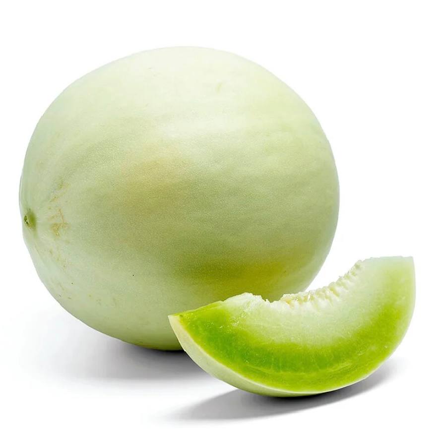 Premium Honey Dew Melon from Oman | Fresh Fruit Delivery Dubai | MJ Foodstuff