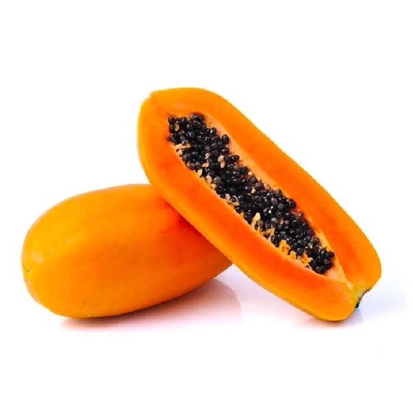 Premium Papaya from Thailand | Fresh Fruit Delivery Dubai | MJ Foodstuff