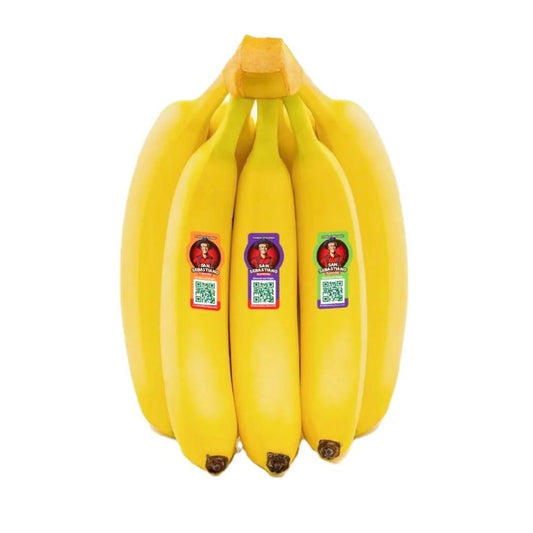 Premium Sebastiano Banana from Ecuador | Fresh Fruit Delivery Dubai | MJ Foodstuff
