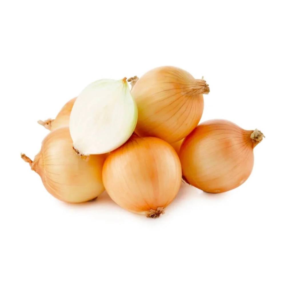 Premium Brown Onion from Australia | Fresh Vegetable Delivery Dubai | MJ Foodstuff