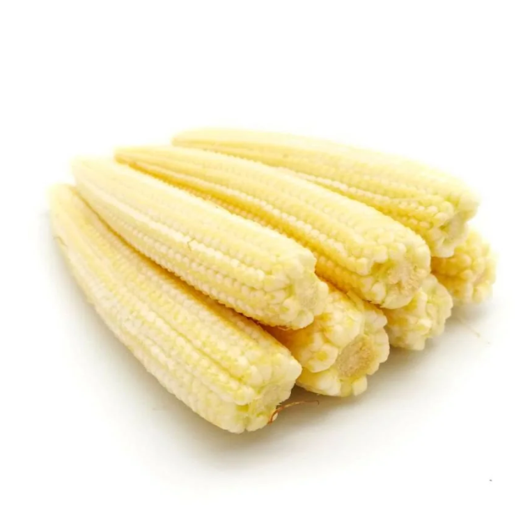 Premium Baby Corn from Thailand 100 g Pack | Fresh Vegetable Delivery Dubai | MJ Foodstuff