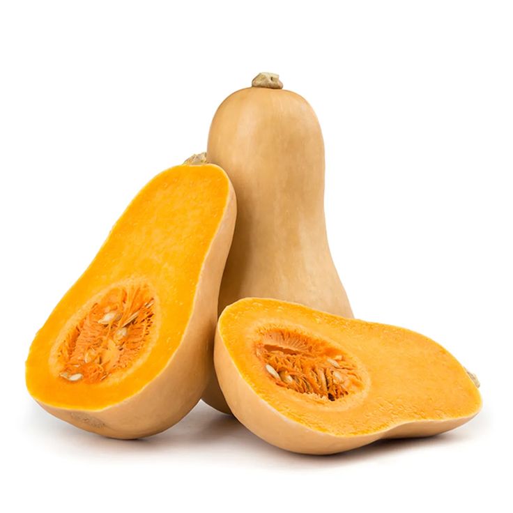 Pumkin Uae