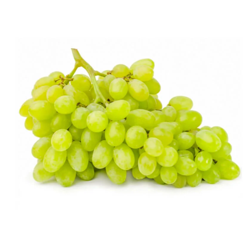 Premium White Baytamouni Grapes from Lebanon | Fresh Fruit Delivery Dubai | MJ Foodstuff