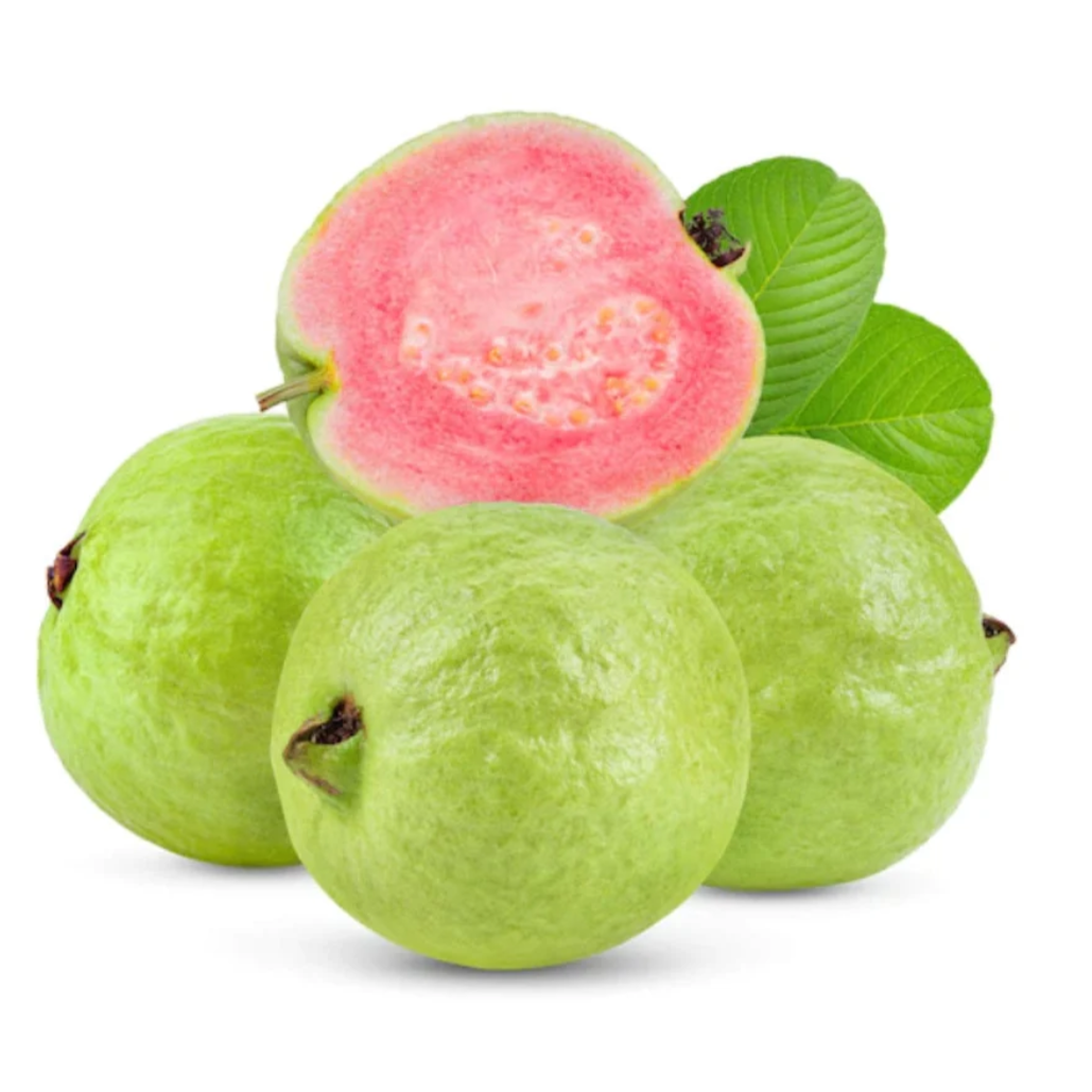 Premium Red Guava from Thailand | Fresh Fruit Delivery Dubai | MJ Foodstuff
