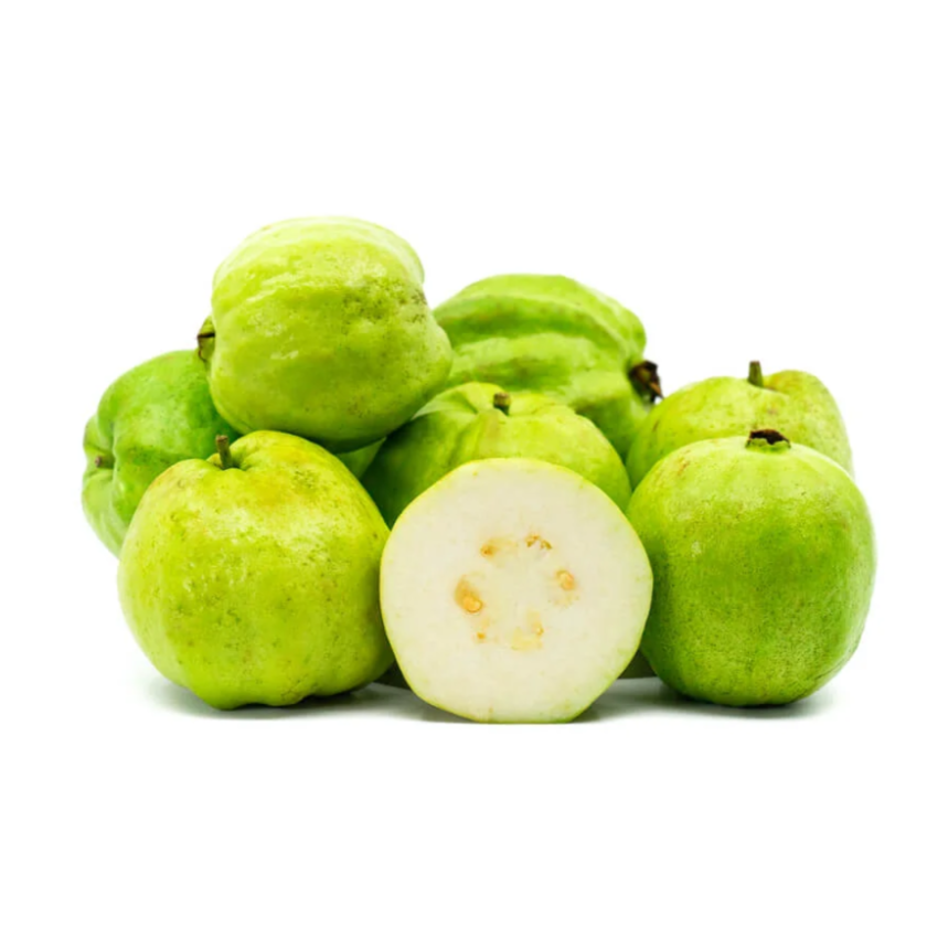 Premium White Seedless Guava from Thailand | Fresh Fruit Delivery Dubai | MJ Foodstuff