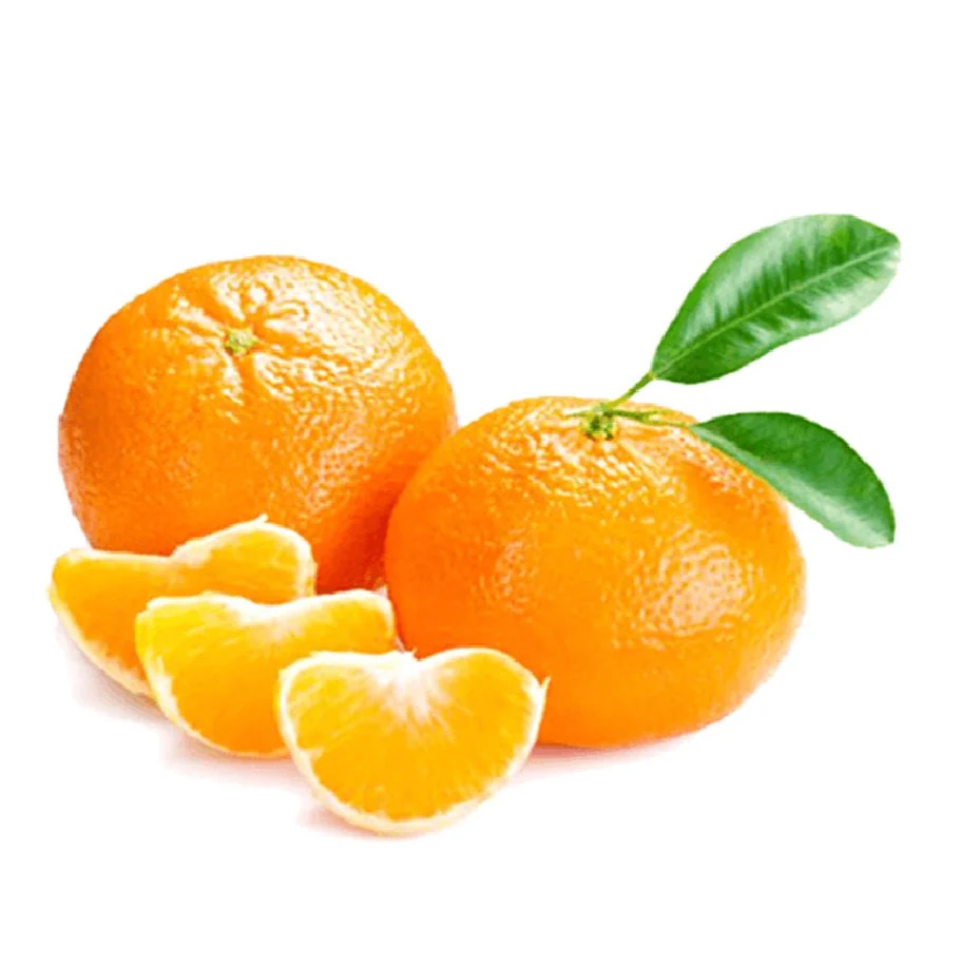 Premium Afourer Mandarin from Australia | Fresh Fruit Delivery Dubai | MJ Foodstuff