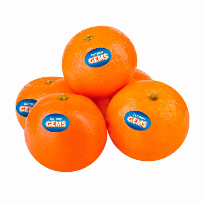 Premium Nadorcott Gem Mandarin from South Africa | Fresh Fruit Delivery Dubai | MJ Foodstuff