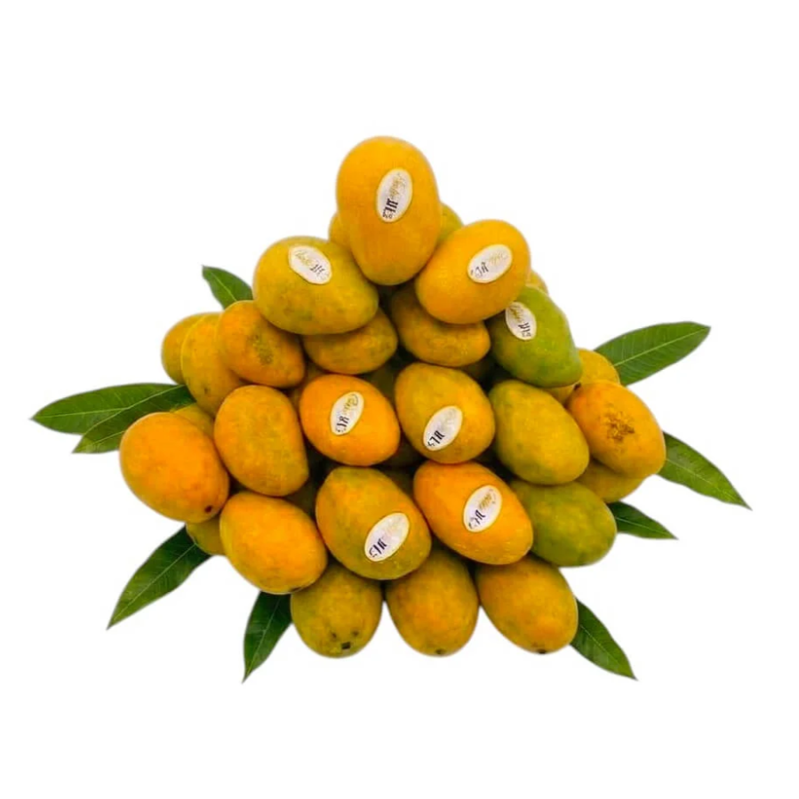 Premium Fass Mango from Egypt | Fresh Fruit Delivery Dubai | MJ Foodstuff
