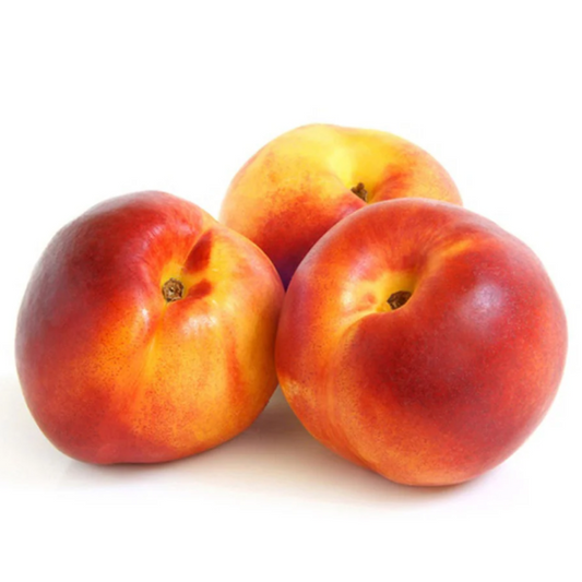 Premium Nectarine from South Africa | Fresh Fruit Delivery Dubai | MJ Foodstuff