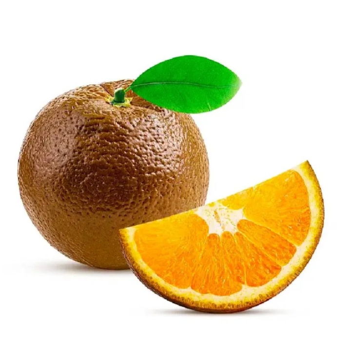 Premium Chocolate Navel Orange from Australia | Fresh Fruit Delivery Dubai | MJ Foodstuff